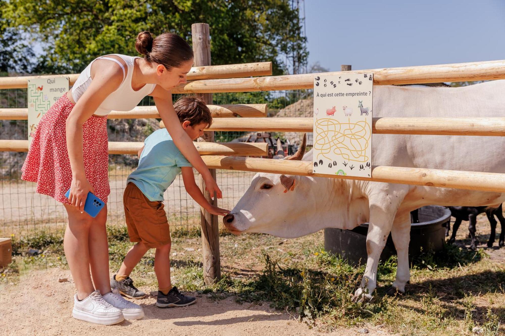 Camping Le Bois Joli Otel Dış mekan fotoğraf